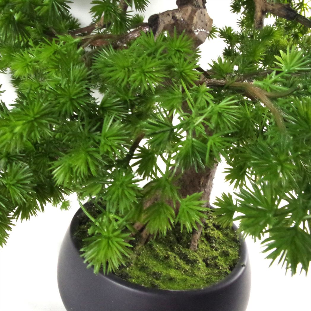Luxury Pine Bonsai Tree -50cm-