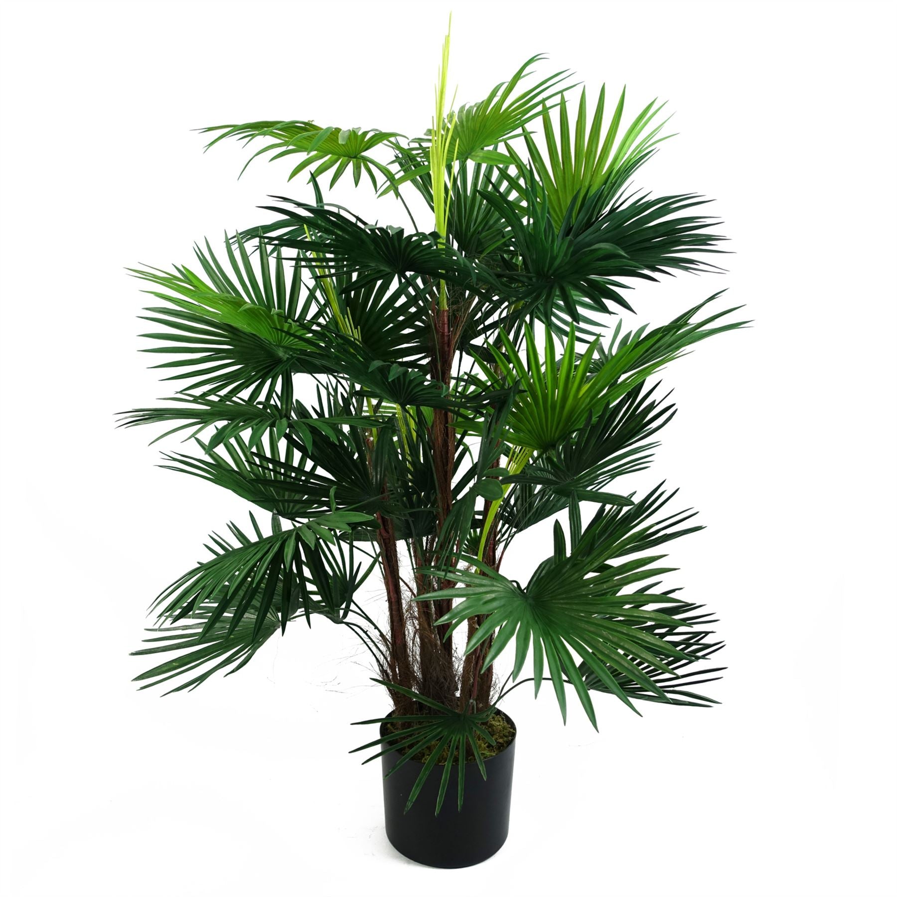 Tall Fan Palm Statement Tree -90cm-